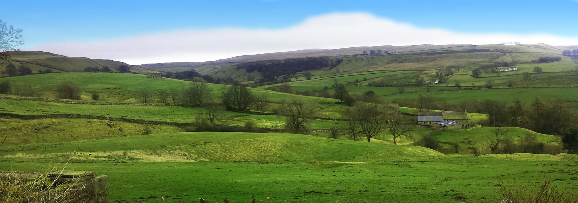 Bridgedales Nutrition Ltd countryside view